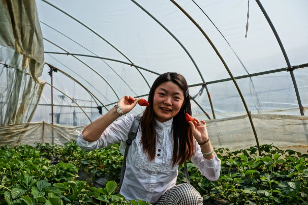 圖片關(guān)鍵詞