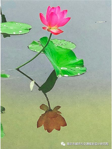 圖片關(guān)鍵詞