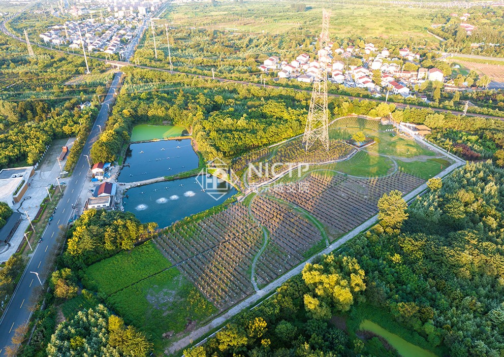 1702430057560058.jpg 06-2苗木轉(zhuǎn)型.jpg